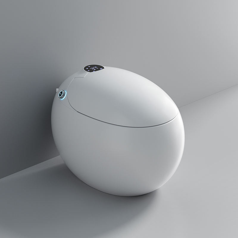 how to choose a smart toilet?